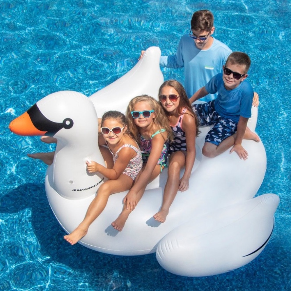 White Swan Pool Float